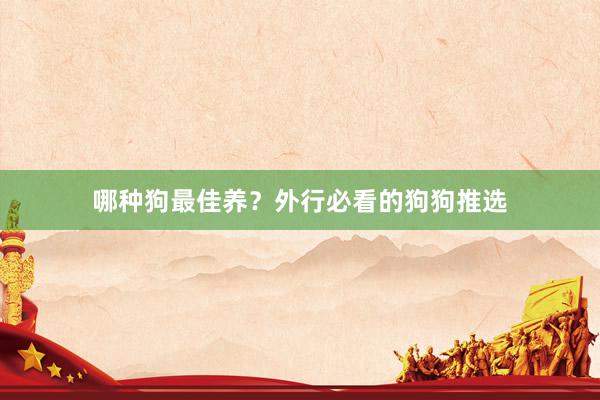 哪种狗最佳养?外行必看的狗狗推选