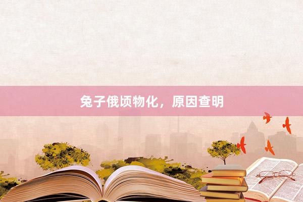 兔子俄顷物化，原因查明